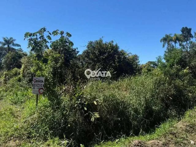 Terreno / Lote para Venda em Itapoá/SC Farol de Itapoá