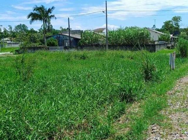 Terreno / Lote para Venda em Itapoá/SC Barra do Sai