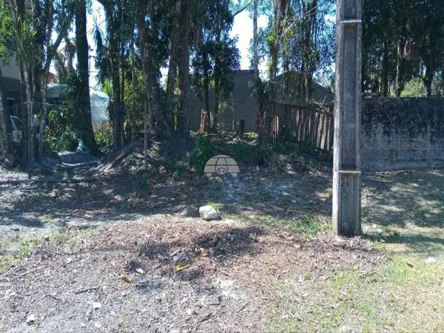 Terreno / Lote para Venda em Itapoá/SC Cambijú