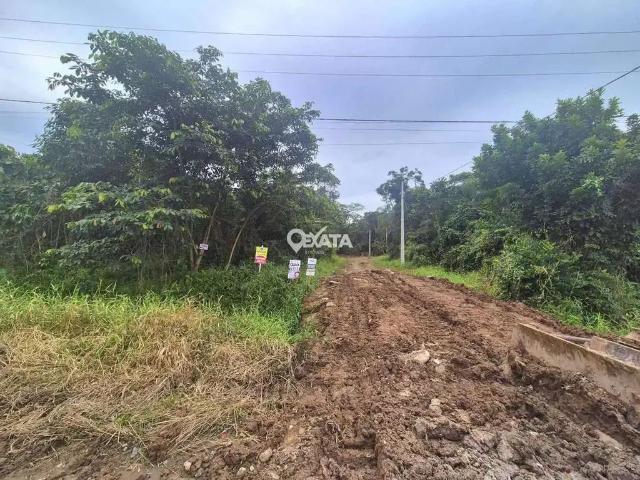 Terreno / Lote para Venda em Itapoá/SC Cambijú