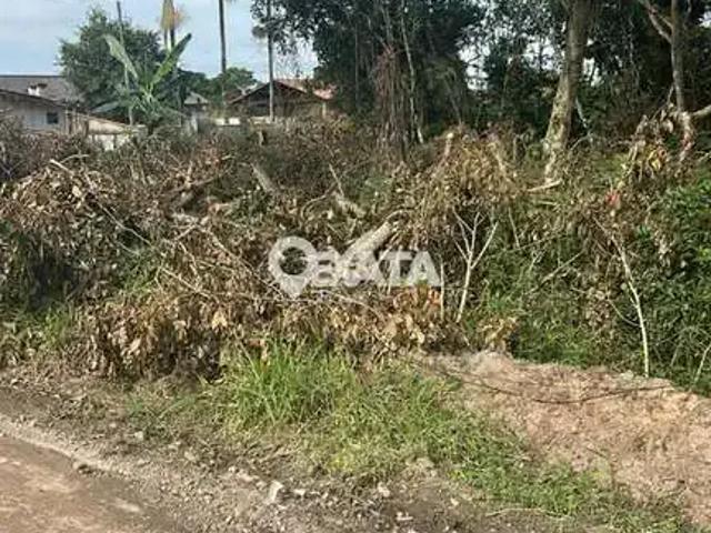 Terreno / Lote para Venda em Itapoá/SC Farol de Itapoá