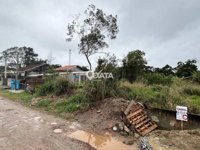 Terreno / Lote para Venda em Itapoá/SC Farol de Itapoá