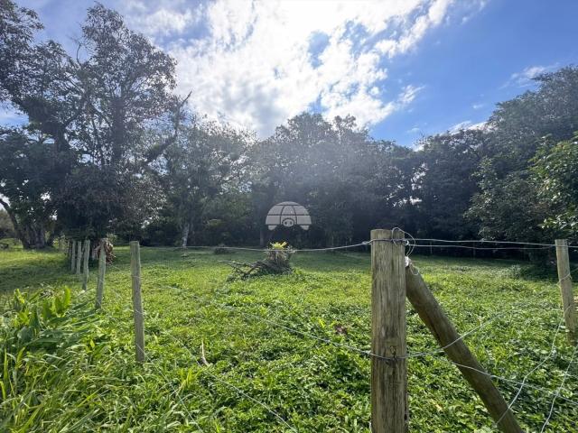 Terreno / Lote para Venda em Itapoá/SC Figueira do Pontal