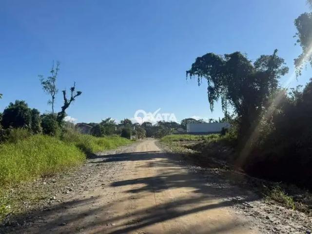 Terreno / Lote para Venda em Itapoá/SC Paese