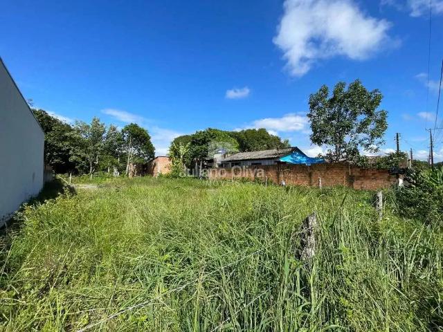 Terreno / Lote para Venda em Itapoá/SC Pontal do Norte