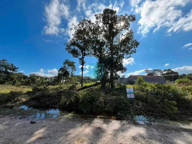 Terreno / Lote para Venda em Itapoá/SC Pontal do Norte