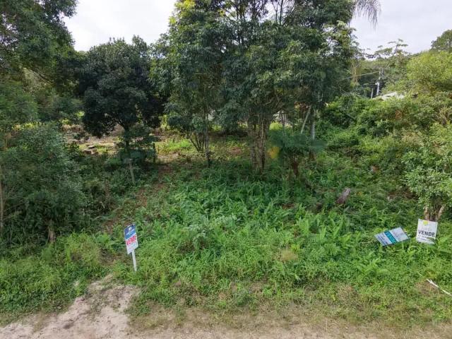 Terreno / Lote para Venda em Itapoá/SC Pontal do Norte