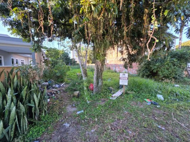 Terreno / Lote para Venda em Itapoá/SC Pontal do Norte
