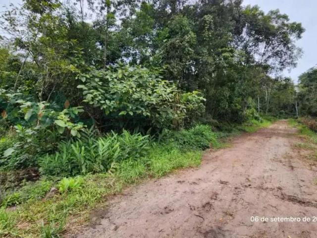 Terreno / Lote para Venda em Itapoá/SC Pontal do Norte