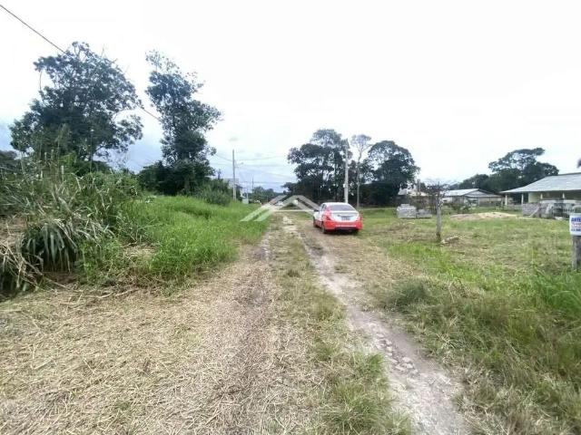 Terreno / Lote para Venda em Itapoá/SC Praia Continental