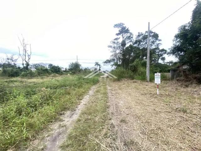 Terreno / Lote para Venda em Itapoá/SC Praia Continental