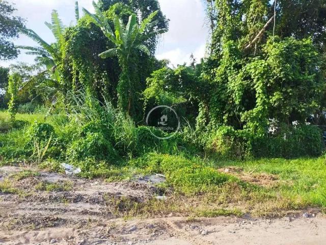 Terreno / Lote para Venda em Itapoá/SC Praia das Palmeiras