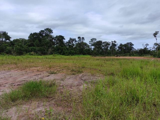 Terreno / Lote para Venda em Itapoá/SC Praia das Palmeiras