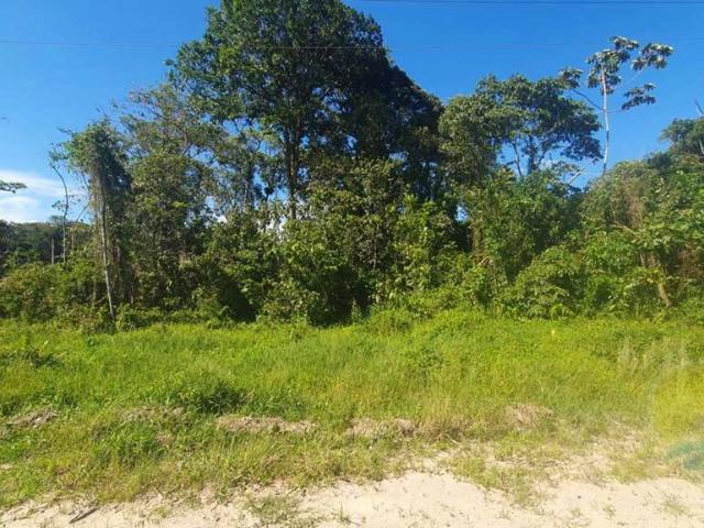 Terreno / Lote para Venda em Itapoá/SC São José