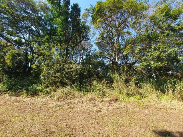 Terreno / Lote para Venda em Itapoá/SC Santa Terezinha