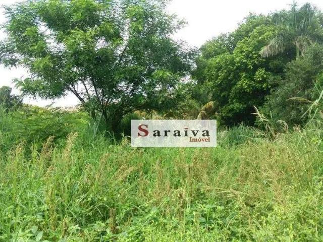 Terreno / Lote para Venda em Itapuí/SP Estrada Bairro Baririzinho