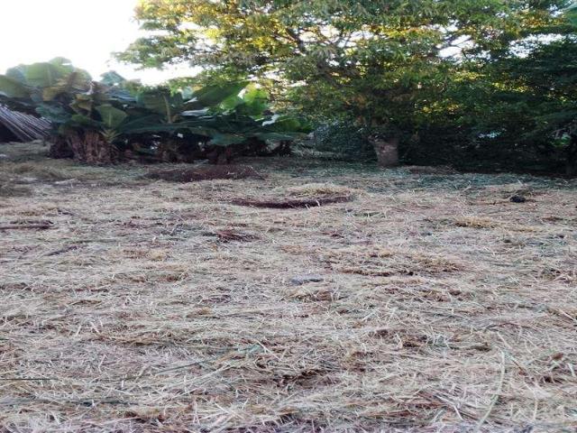 Terreno / Lote para Venda em Itaquaquecetuba/SP Vila Virgínia