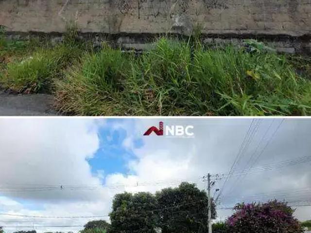 Terreno / Lote para Venda em Itaquaquecetuba/SP Jardim Caiubi