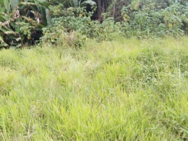 Terreno / Lote para Venda em Itaquaquecetuba/SP Jardim Marcelo