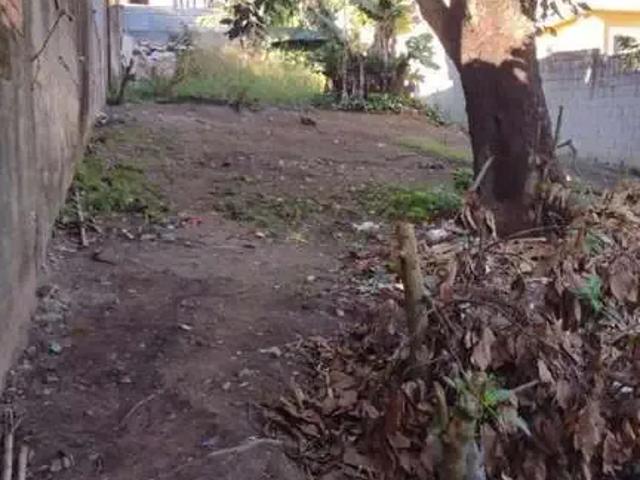 Terreno / Lote para Venda em Itaquaquecetuba/SP Jardim Paineira
