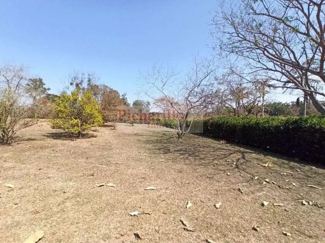 Terreno / Lote para Venda em Itirapina/SP Vila Pinhal