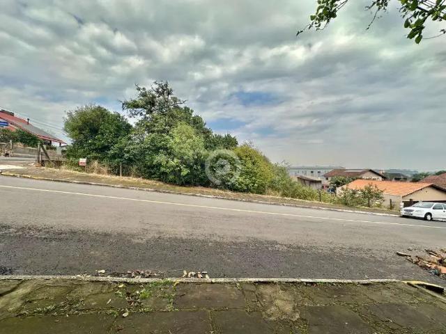 Terreno / Lote para Venda em Ivoti/RS Centro