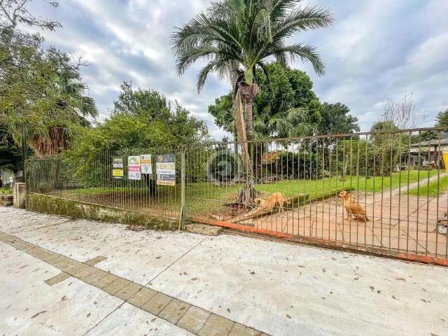 Terreno / Lote para Venda em Ivoti/RS Centro