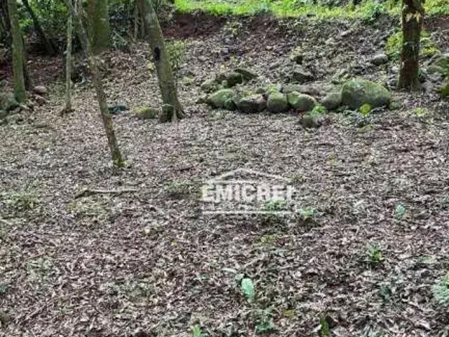 Terreno / Lote para Venda em Ivoti/RS Centro