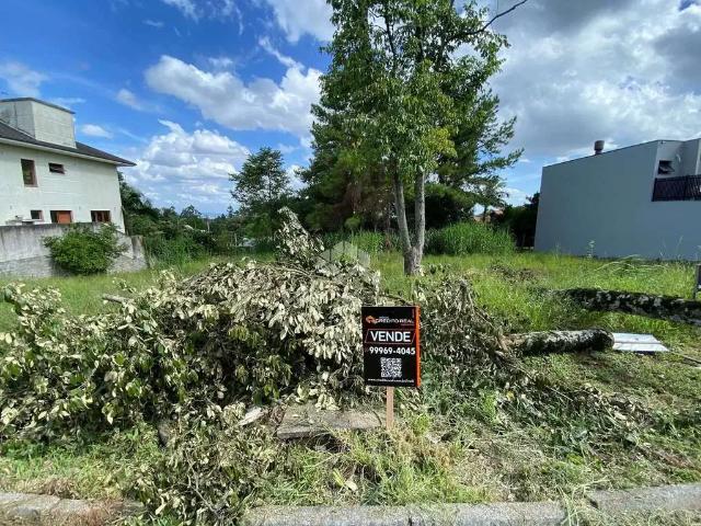 Terreno / Lote para Venda em Ivoti/RS Cidade Nova