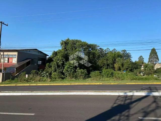 Terreno / Lote para Venda em Ivoti/RS Cidade Nova