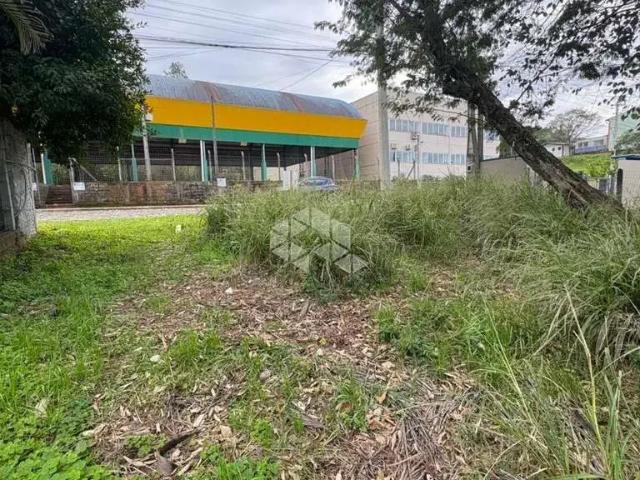 Terreno / Lote para Venda em Ivoti/RS Cidade Nova