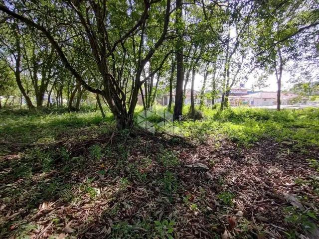 Terreno / Lote para Venda em Ivoti/RS Cidade Nova