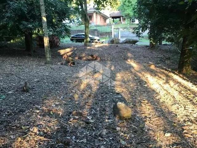 Terreno / Lote para Venda em Ivoti/RS Cidade Nova
