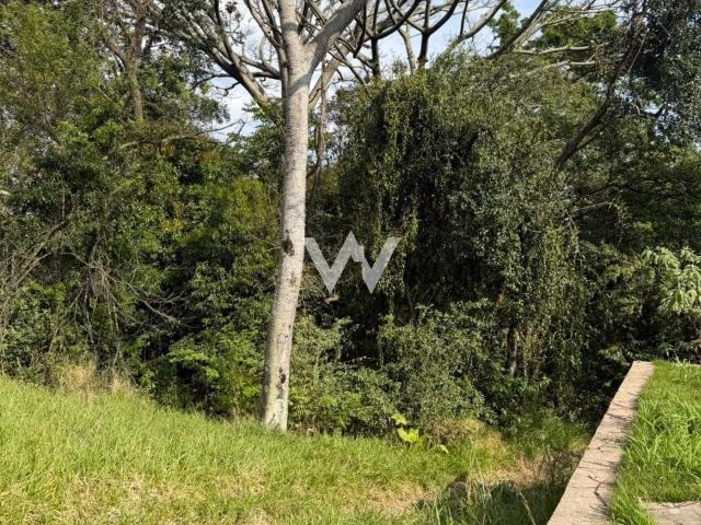 Terreno / Lote para Venda em Ivoti/RS Cidade Nova