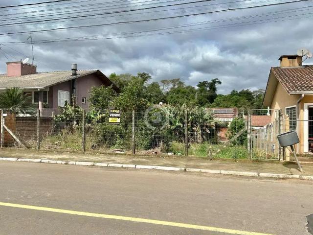 Terreno / Lote para Venda em Ivoti/RS Cidade Nova