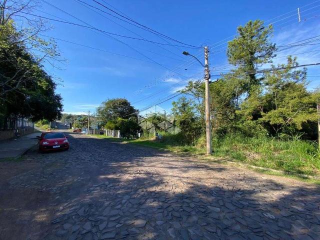 Terreno / Lote para Venda em Ivoti/RS Cidade Nova