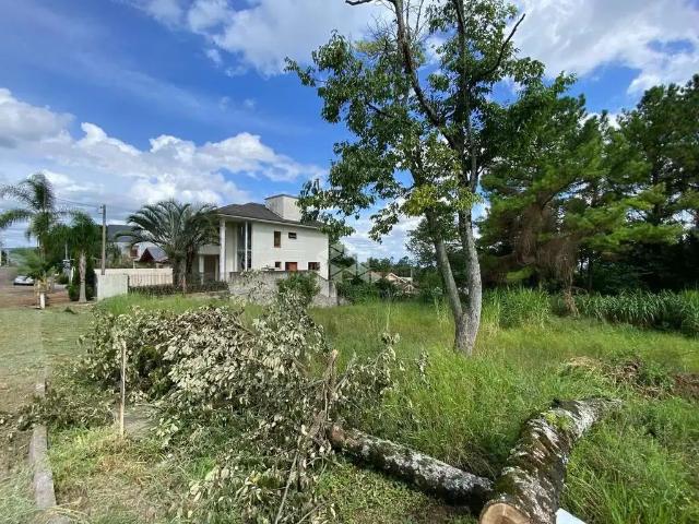 Terreno / Lote para Venda em Ivoti/RS Cidade Nova