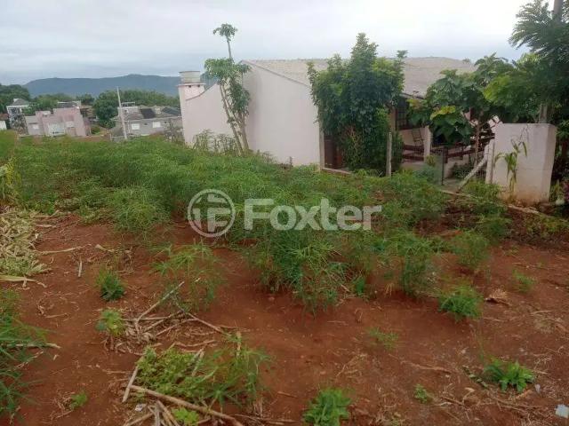 Terreno / Lote para Venda em Ivoti/RS Concórdia