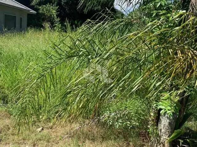 Terreno / Lote para Venda em Ivoti/RS Jardim do Alto
