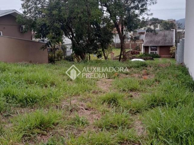 Terreno / Lote para Venda em Ivoti/RS Jardim do Alto
