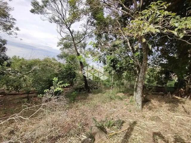 Terreno / Lote para Venda em Ivoti/RS Jardim Panorâmico