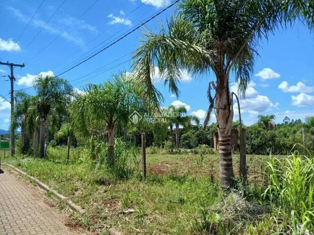 Terreno / Lote para Venda em Ivoti/RS Picada 48 Alta