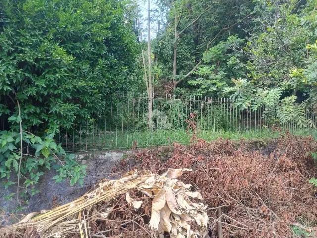 Terreno / Lote para Venda em Ivoti/RS Sete de Setembro