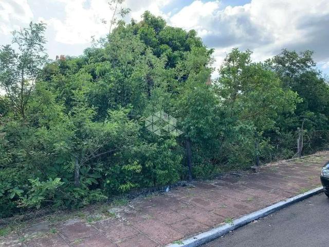 Terreno / Lote para Venda em Ivoti/RS Vista Alegre