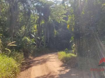 Terreno / Lote para Venda em Jambeiro/SP Canaã