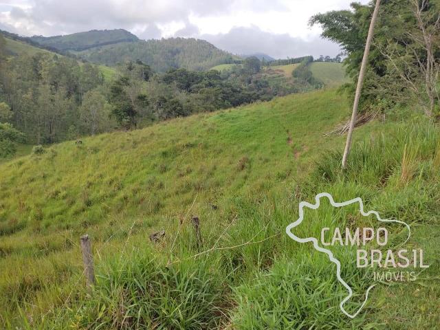 Terreno / Lote para Venda em Jambeiro/SP Centro