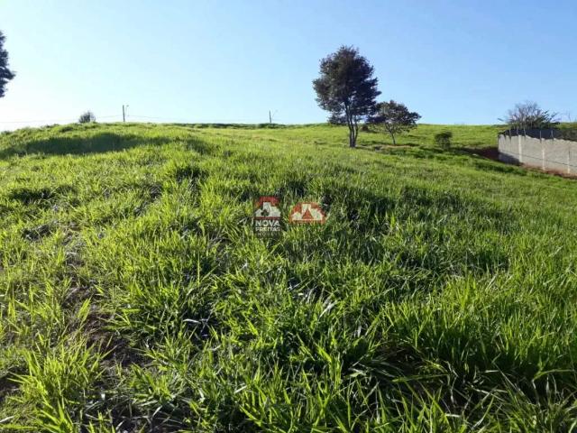 Terreno / Lote para Venda em Jambeiro/SP Tapanhao