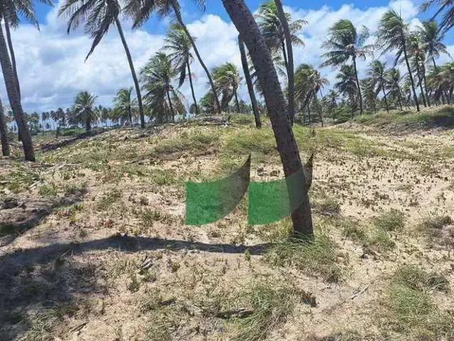 Terreno / Lote para Venda em Jandaíra/BA Mangue Seco