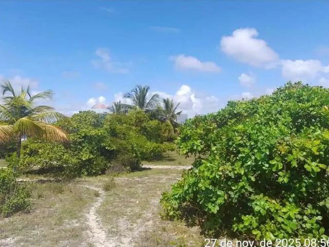 Terreno / Lote para Venda em Jandaíra/BA Centro