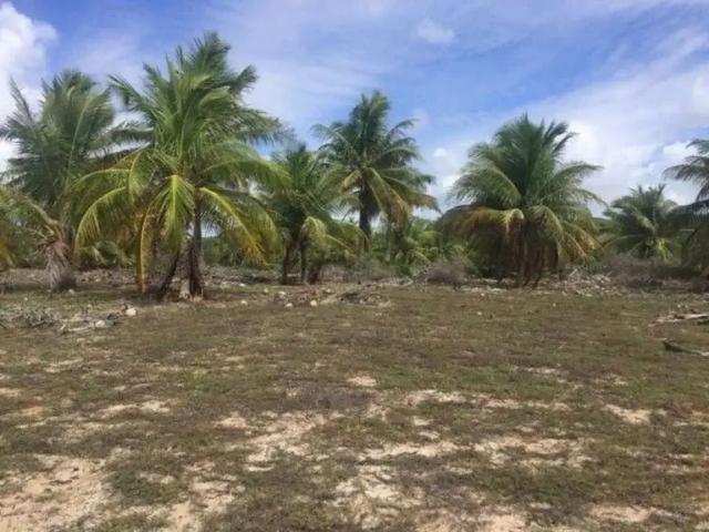 Terreno / Lote para Venda em Jandaíra/BA Centro